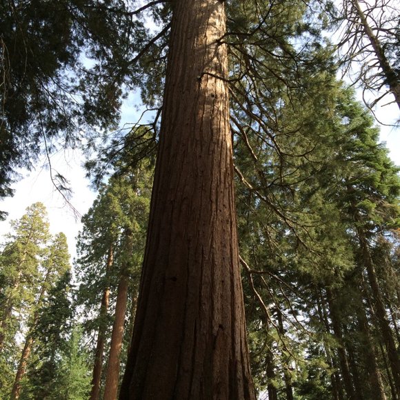 Meet your Posher, K - Picture 1 of 1